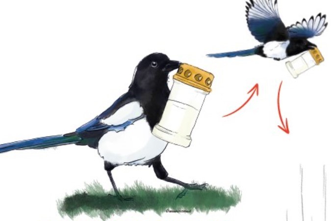 Kråker og skjærer stjeler gravlys, og knuser dem for å spise stearinen. Dette forsøpler, men kan i verste fall havne ii dyrefor. Gravlys må stå i lukkede lykter. Takk for at dere respekterer dette!